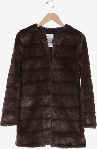 Diane von Furstenberg Jacket & Coat in XS in Grey: front
