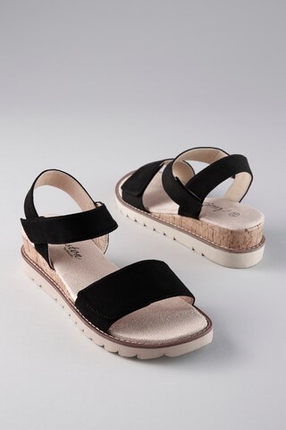 Aniston Sandals in Black