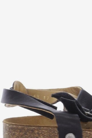 HAFLINGER Sandals & High-Heeled Sandals in 40 in Black
