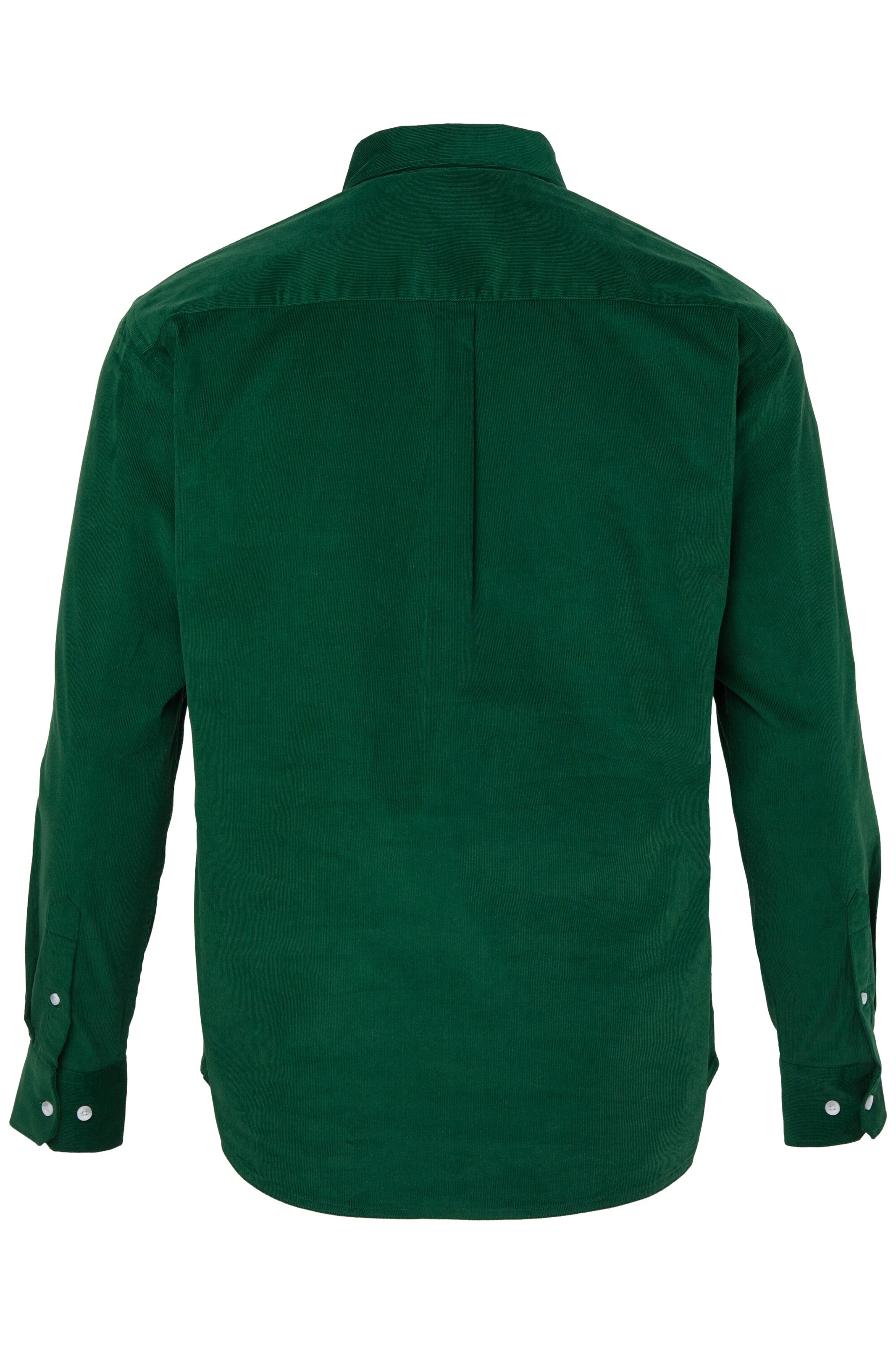 JP1880 Regular Fit Hemd in Grün