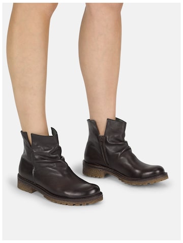 Bottines 'Caster E013' FELMINI en marron : devant