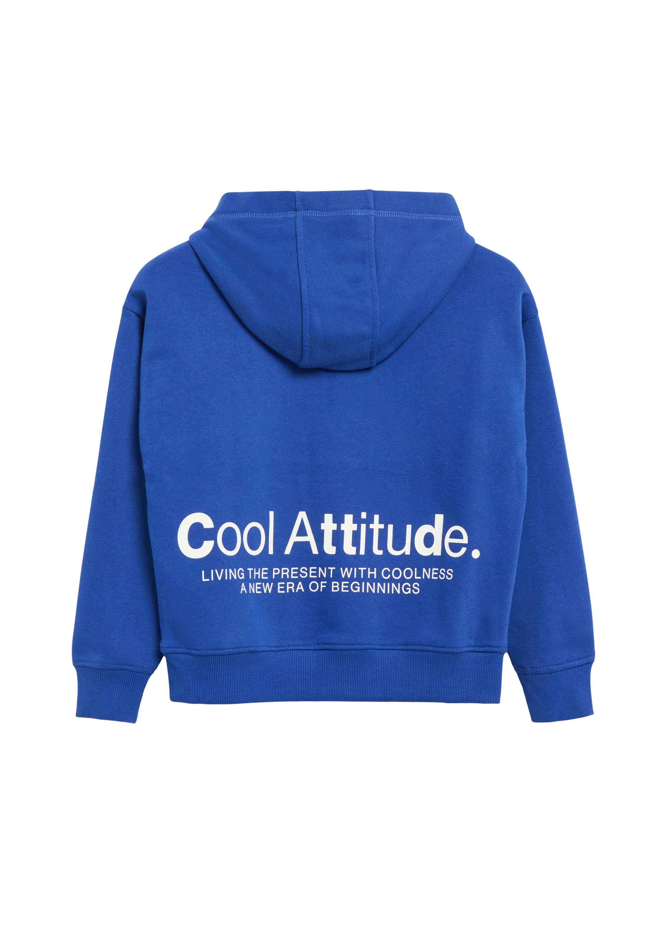 s.Oliver Sweatshirt in Blauw