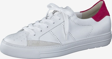 Paul Green Sneakers in White: front