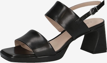 CAPRICE Sandals in Black: front