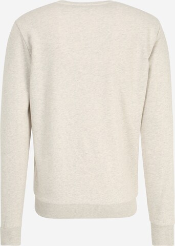 Sweat-shirt Rotholz en beige