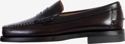 SEBAGO Chaussure basse en 41 en marron, Vue avec produit