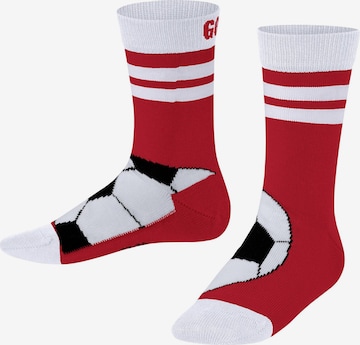 FALKE Socks 'Active Soccer' in Red: front