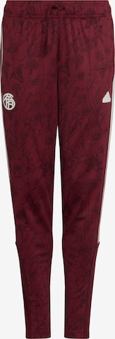 FC BAYERN MÜNCHEN Tapered Workout Pants 'FC Bayern München' in Red: front