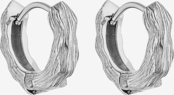 PURELEI Earrings 'Brushed' in Silver: front