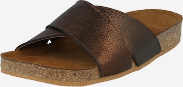 NINE TO FIVE Mules 'Clota' in Brown: front