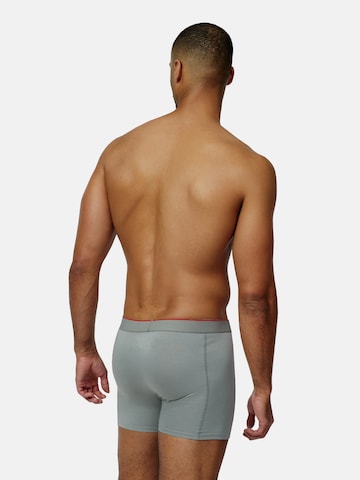 Boxers DANISH ENDURANCE en mélange de couleurs