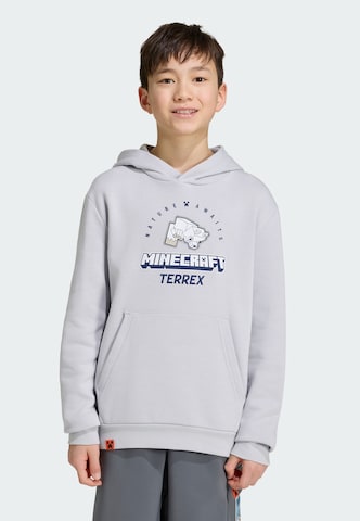 ADIDAS TERREX Sportsweatshirt 'Adidas x Minecraft' in Grau: Vorderseite