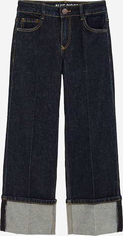 mėlyna WE Fashion Laisvas Džinsai: priekis