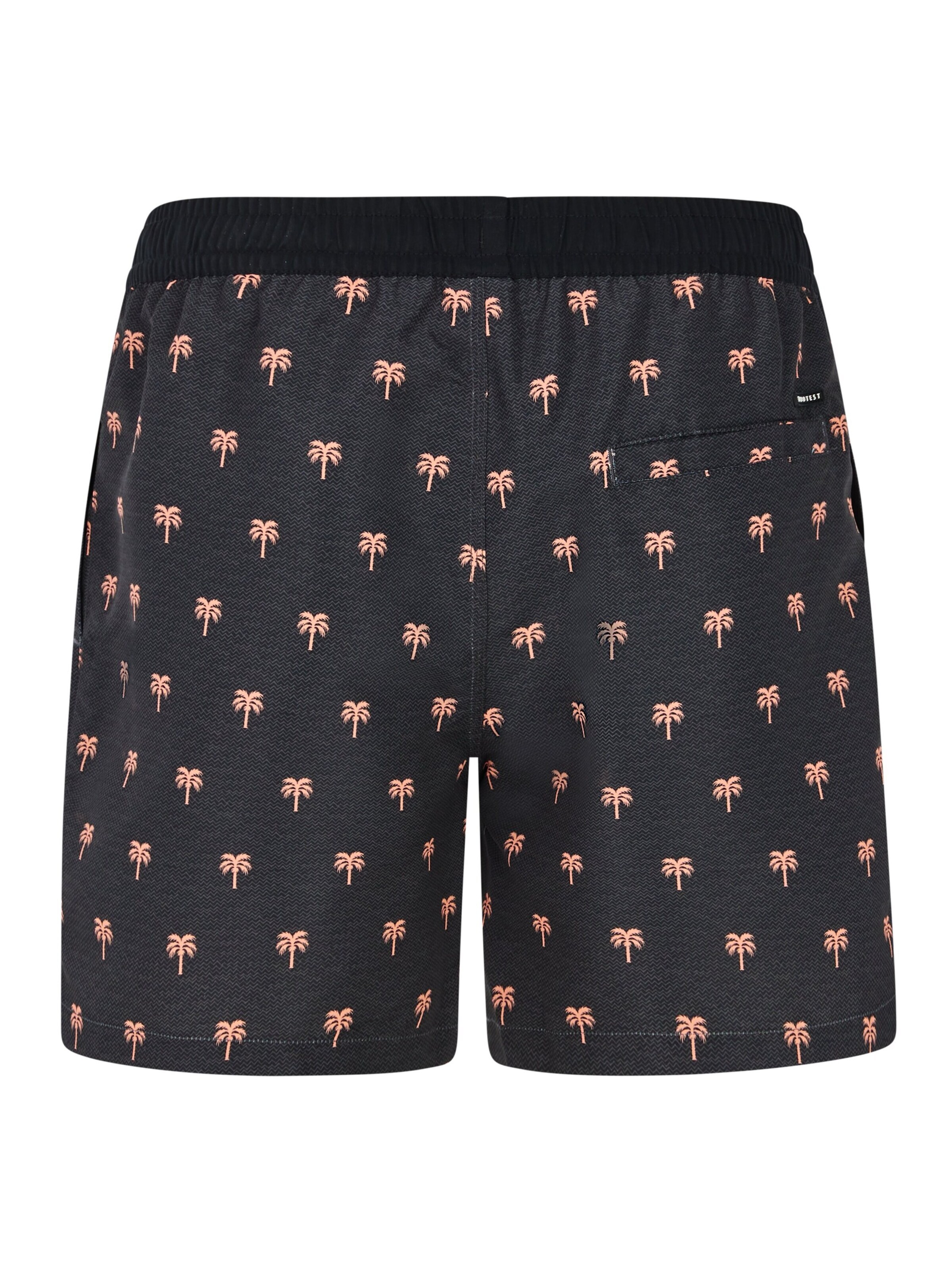 PROTEST Swimming shorts 'PRTParco' in Grey