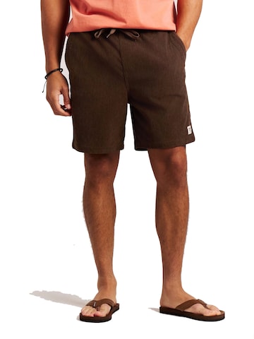 PROTEST Regular Pants in Brown