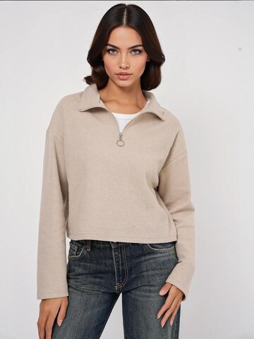 Bigdart Pullover in Beige: Vorderseite