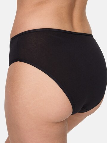 Culotte Nur Die en mélange de couleurs