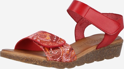 COSMOS COMFORT Sandale in mischfarben / rot, Produktansicht