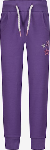 SALT AND PEPPER Pants in Purple: front