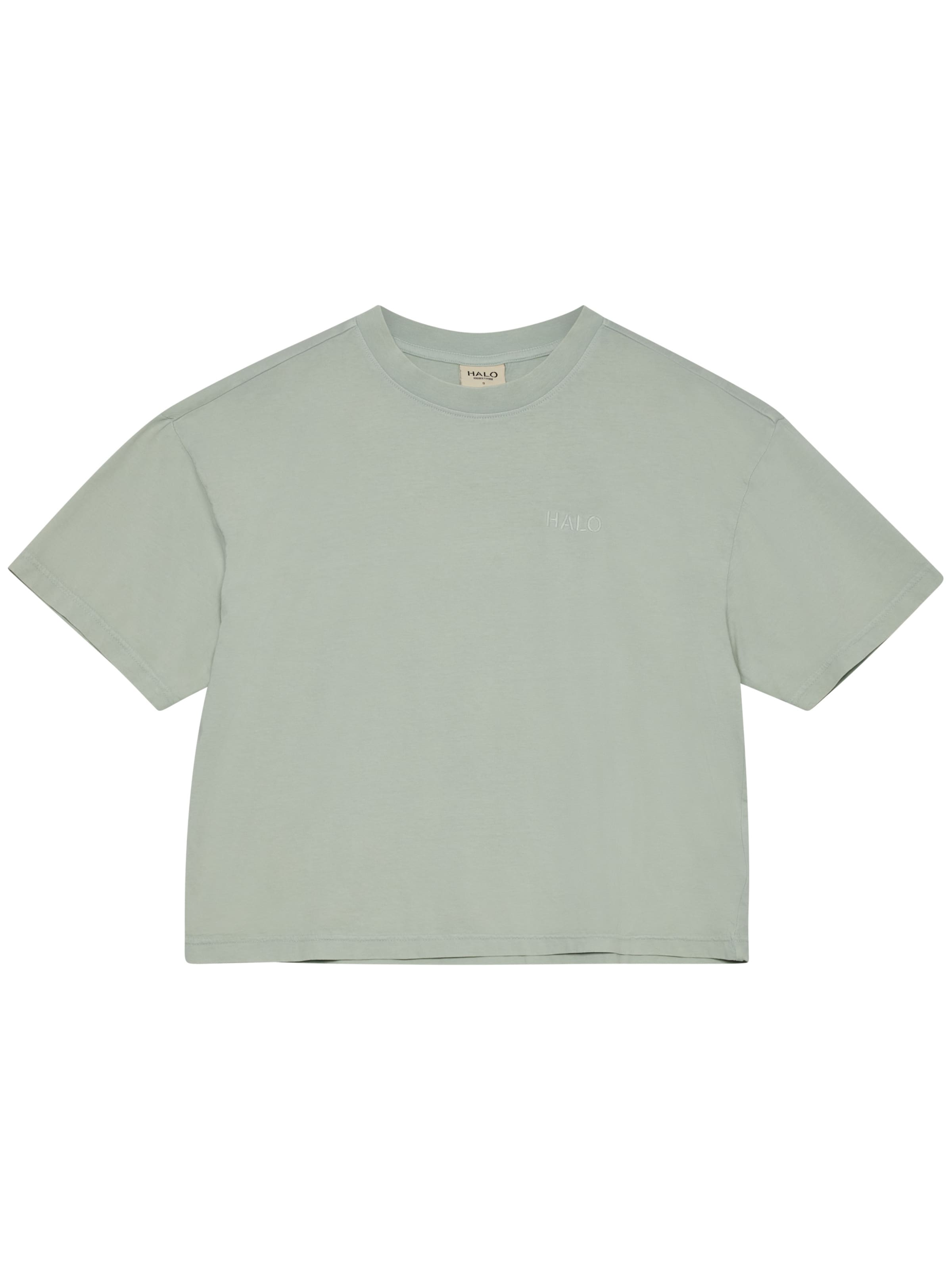 HALO Shirt in Grijs: voorkant