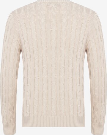 DENIM CULTURE Sweater ' MAURIZIO ' in Beige