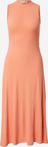 oranžs EDITED Kleita 'Talia': no priekšpuses