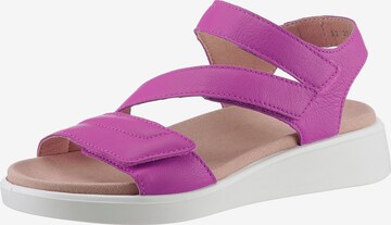 ARA Sandals in Pink: front