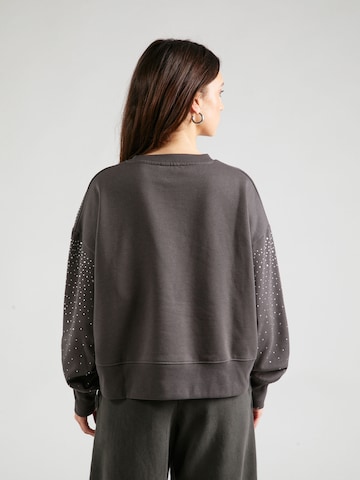 SISTERS POINT - Sweatshirt 'HIKE' em cinzento