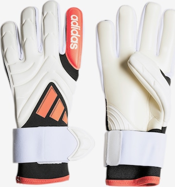 ADIDAS PERFORMANCE Sporthandschuhe in Weiß: Vorderseite