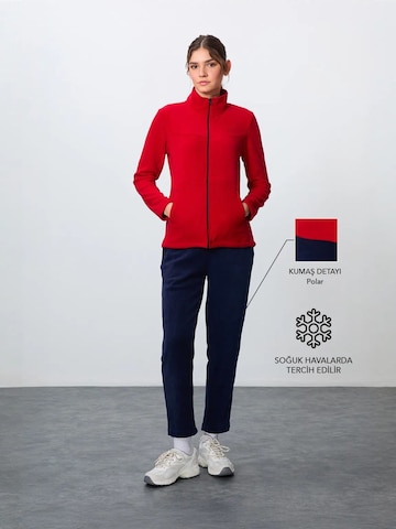 Survêtement Tommy Life en rouge : devant