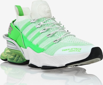 Plein Sport - Sapatilhas baixas 'Tiger Attack Gen. X.04' em branco: frente