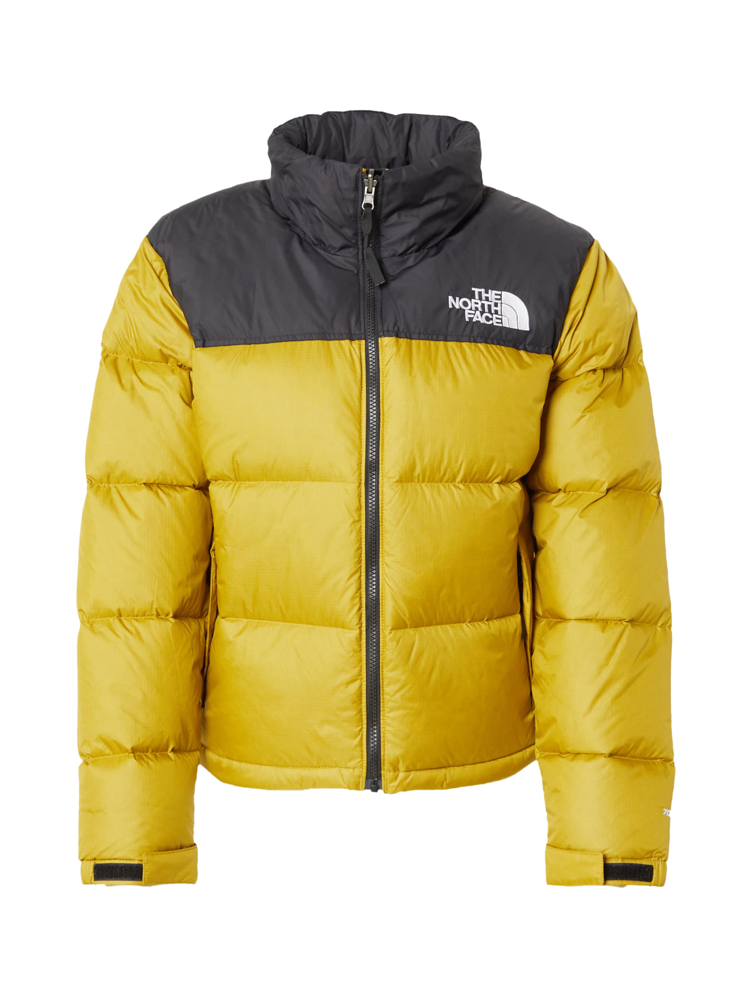 THE NORTH FACE Winter jackets ABOUT YOU