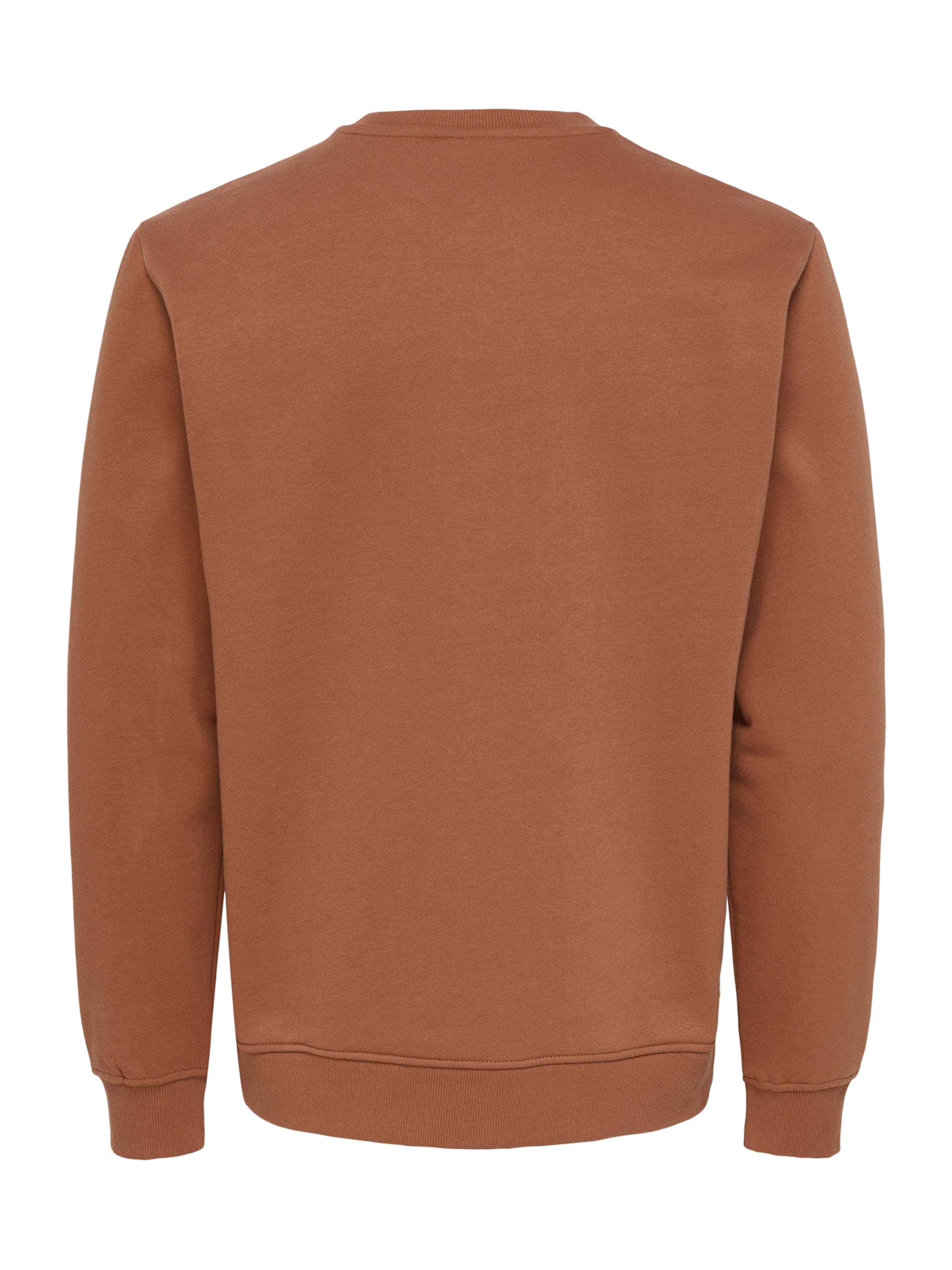 Only & Sons Свитшот 'ONSConnor' в Коричневый