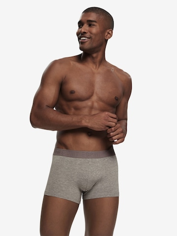 ESPRIT Boxer shorts in Mixed colors: front