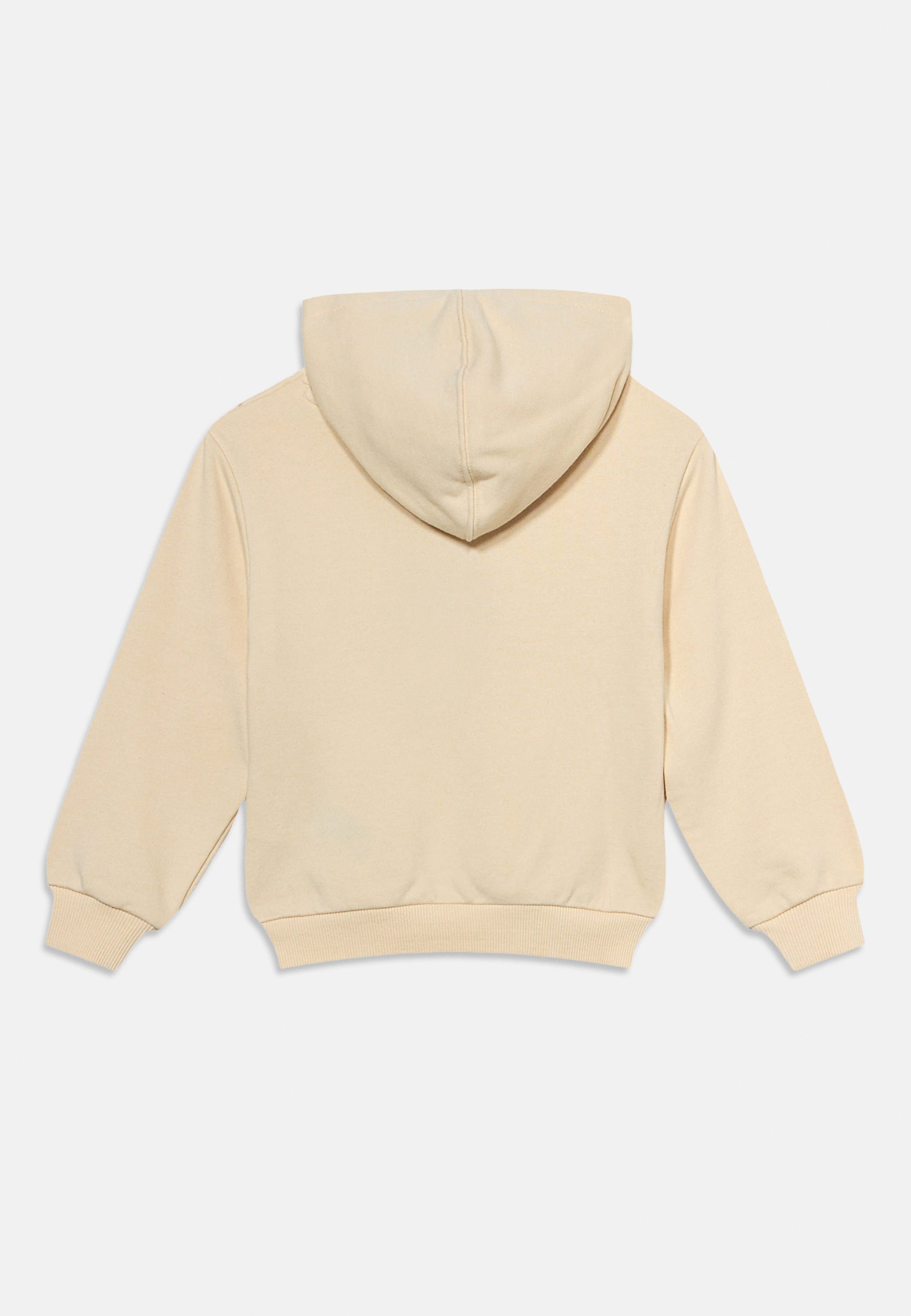 Felpa di CONVERSE in beige