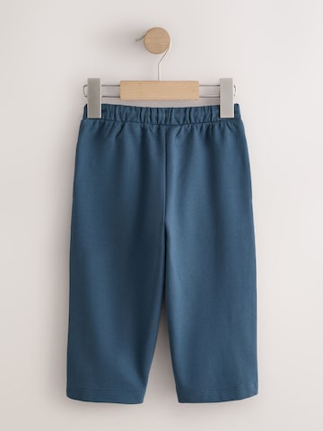 Next Regular Broek in Gemengde kleuren