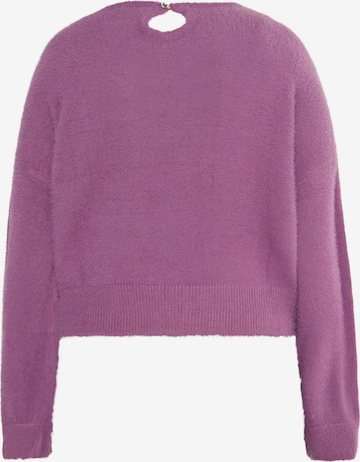 faina Sweater in Purple