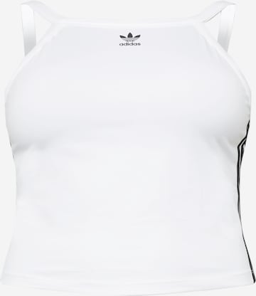 ADIDAS ORIGINALS Top in White: front