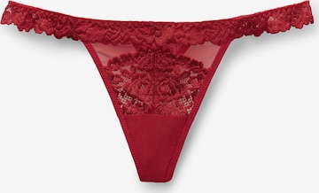 INTIMISSIMI String in Rot: Vorderseite