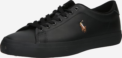 Polo Ralph Lauren Baskets basses en marron / noir / blanc, Vue avec produit