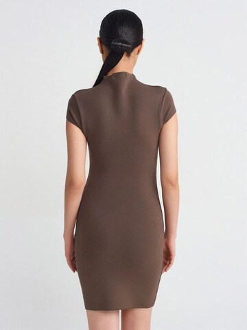 Robe 'Mini' Dilvin en marron