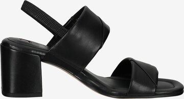 Högl Strap Sandals in Black