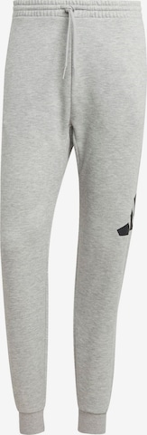 ADIDAS SPORTSWEAR Спортивные штаны в Серый: спереди