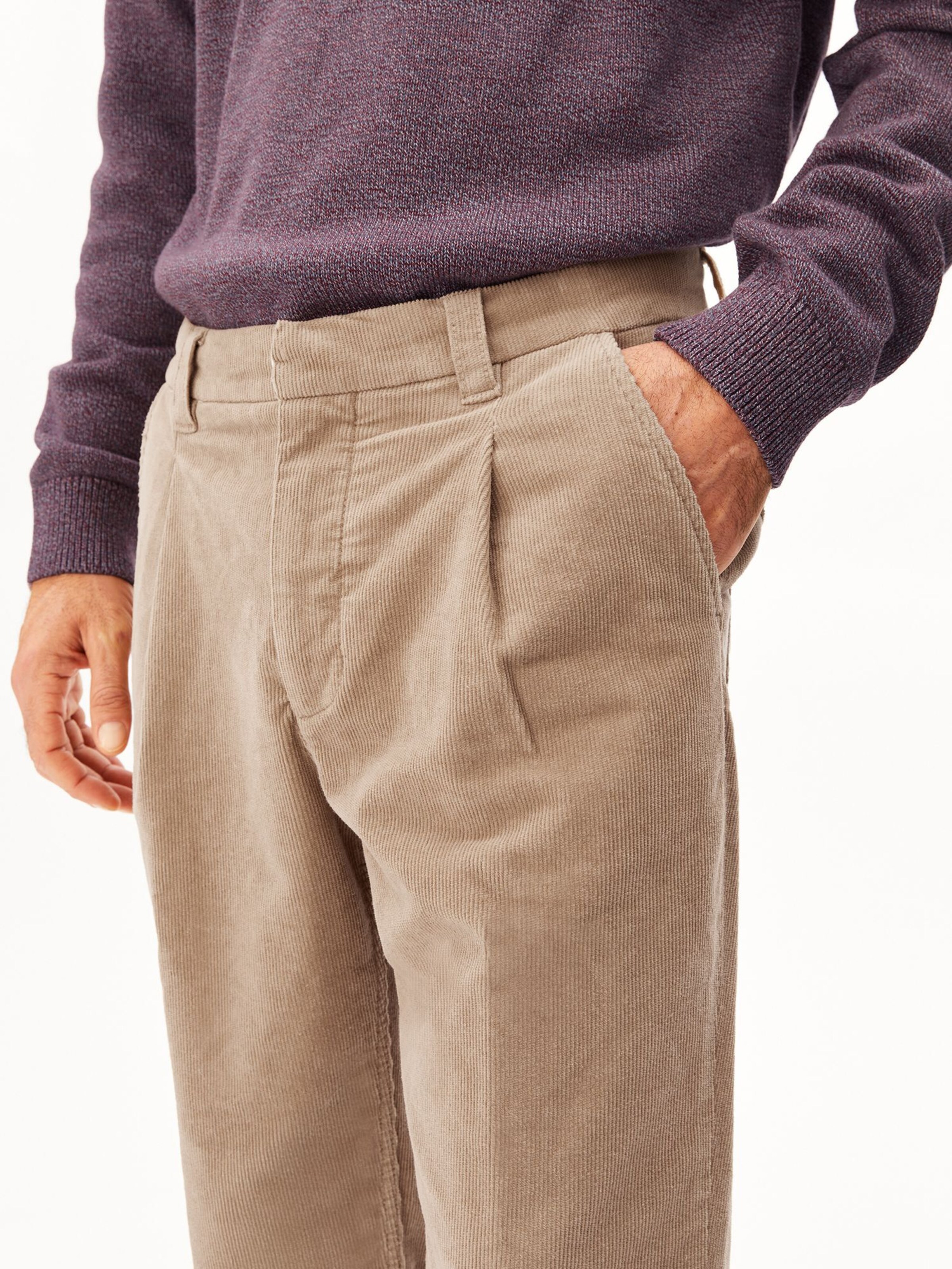 ARMEDANGELS Regular Bandplooibroek 'TAAMIR ' in Beige