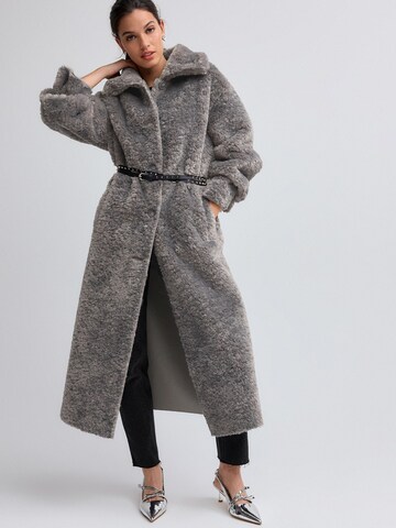 Next Winter coat in Grey