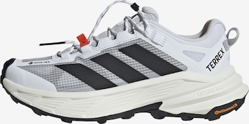ADIDAS TERREX Полуботинки 'Freehiker SL' в Белый: спереди