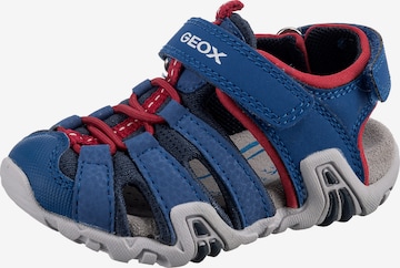 GEOX Sandals & Slippers 'Kraze' in Blue: front