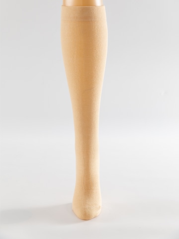 Millo Knee High Socks 'Cottom Comfort' in Beige