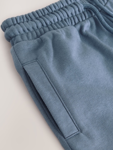 Next Loosefit Broek in Blauw