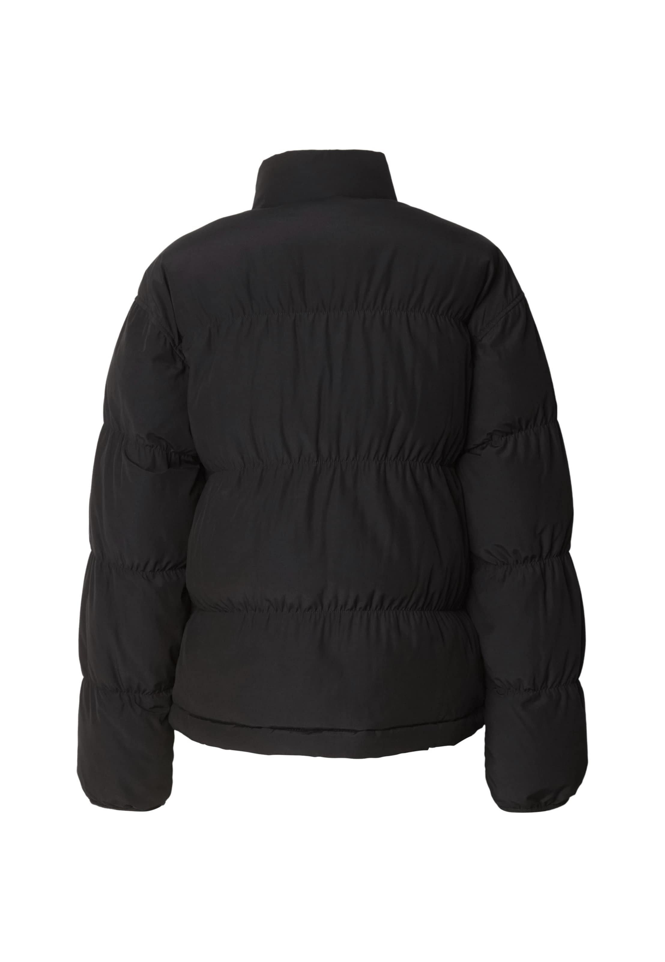 DICKIES Kurtka przejściowa 'Scobey' w kolorze czarny
